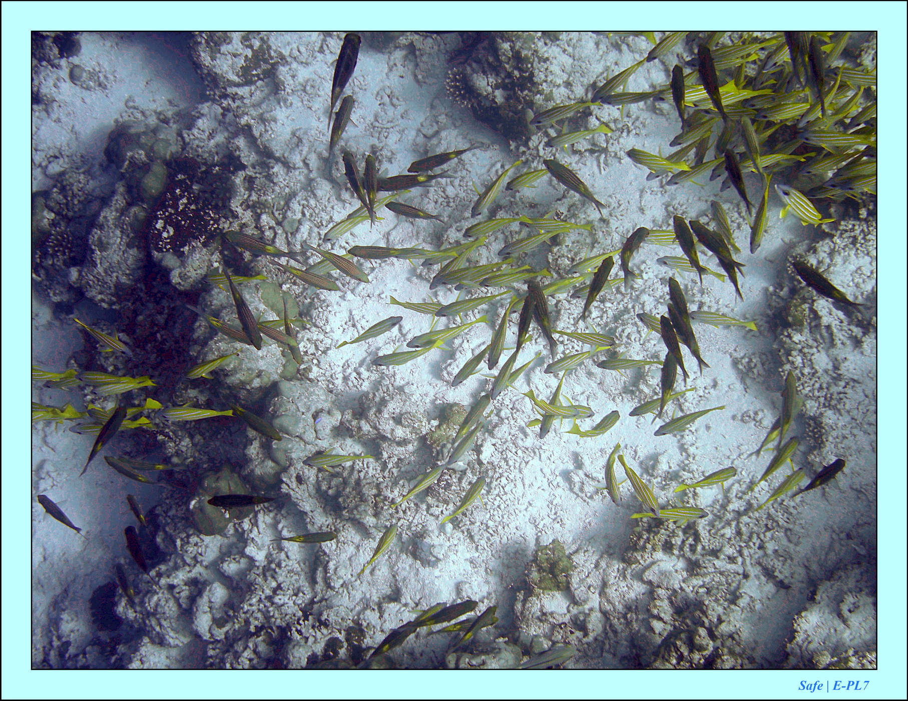 2023 - 07 - Sandies Bathala - 160